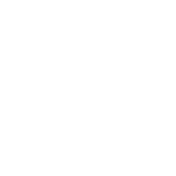 Agisoft Metashape logo