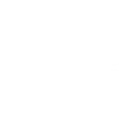 Imagenomic Portraiture logo