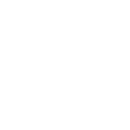 Noda logo