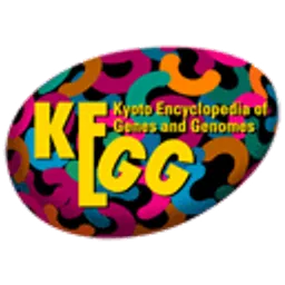 KEGG logo