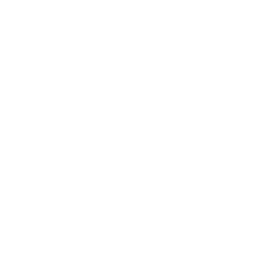 Lucidworks logo