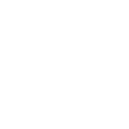 StarRocks logo