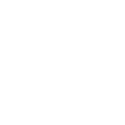 Topaz Studio logo