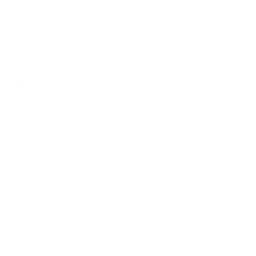 Torch logo