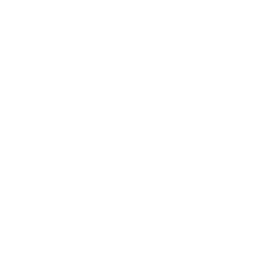 Viz.ai logo